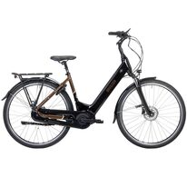 Electric BREEZER Powertrip EVO 3.1+ LS 28" size 21" (55cm) (black/brown)