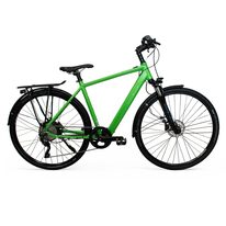 Electric Rabeneick TS-E 28" size 20" (50cm) (green)