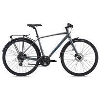 GIANT Escape 2 City 28" // 16G size 21" (53 cm) (grey)