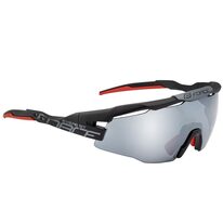 Sunglasses FORCE Everest (black)