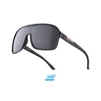 Sunglasses FORCE Mondo black lenses (black)