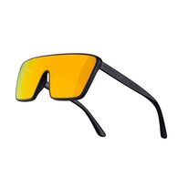 Sunglasses FORCE Scope orange lenses (black)