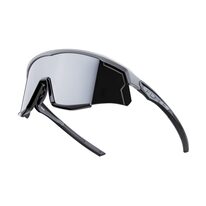 Sunglasses FORCE Sonic, black lens (black/grey)