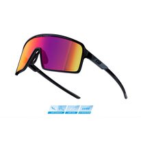 Sunglasses FORCE Static (black)